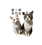 ぼぴ家の猫（個別スタンプ：2）