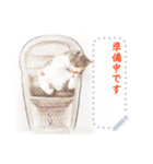 かわいい猫のメッセージスタンプ5-1（個別スタンプ：2）