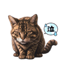 猫さんシリーズです。（個別スタンプ：13）