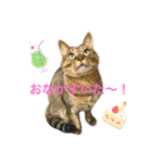 ししちゃちゃスタンプ2（個別スタンプ：8）
