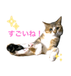 ししちゃちゃスタンプ2（個別スタンプ：15）