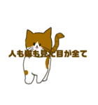 くそうざい猫（個別スタンプ：1）