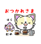 チワふく(？)11（個別スタンプ：17）