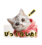 Lofiかわいい猫(にほんごばん)（個別スタンプ：15）