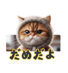 Lofiかわいい猫(にほんごばん)（個別スタンプ：20）