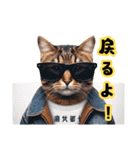 Lofiかわいい猫(にほんごばん)（個別スタンプ：34）