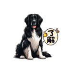 dog series(Daily conversation)（個別スタンプ：32）