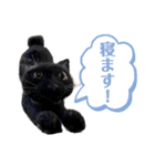 羊毛フェルト猫スタンプ日本語（個別スタンプ：27）
