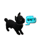 羊毛フェルト猫スタンプ日本語（個別スタンプ：36）
