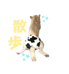 きなことすもも①（個別スタンプ：2）