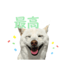 きなことすもも①（個別スタンプ：5）