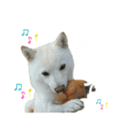 きなことすもも①（個別スタンプ：10）