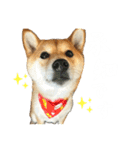 きなことすもも①（個別スタンプ：11）