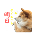 きなことすもも①（個別スタンプ：13）