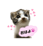こはくぬし1（個別スタンプ：1）
