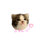 こはくぬし1（個別スタンプ：3）