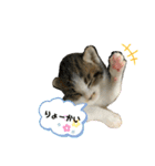 こはくぬし1（個別スタンプ：9）