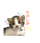 こはくぬし1（個別スタンプ：20）