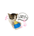 こはくぬし1（個別スタンプ：23）