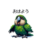 ドット絵 カカポ 日常会話（個別スタンプ：1）