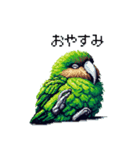 ドット絵 カカポ 日常会話（個別スタンプ：2）