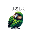 ドット絵 カカポ 日常会話（個別スタンプ：5）