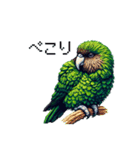 ドット絵 カカポ 日常会話（個別スタンプ：10）