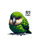 ドット絵 カカポ 日常会話（個別スタンプ：12）