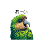 ドット絵 カカポ 日常会話（個別スタンプ：18）