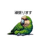 ドット絵 カカポ 日常会話（個別スタンプ：22）