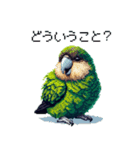 ドット絵 カカポ 日常会話（個別スタンプ：39）