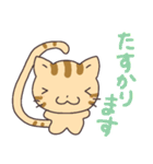 シマリスみたいな、しま猫（個別スタンプ：20）