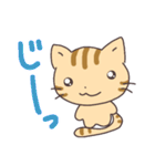 シマリスみたいな、しま猫（個別スタンプ：34）