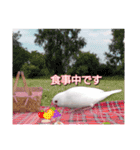 文鳥のLINEスタンプ1（個別スタンプ：14）