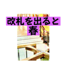 八虎毛のニケ〜そろそろ春の訪れ（個別スタンプ：8）