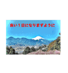 八虎毛のニケ〜そろそろ春の訪れ（個別スタンプ：13）