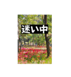 八虎毛のニケ〜そろそろ春の訪れ（個別スタンプ：15）