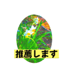 八虎毛のニケ〜そろそろ春の訪れ（個別スタンプ：16）