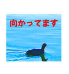 八虎毛のニケ〜そろそろ春の訪れ（個別スタンプ：18）