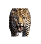 ヒョウ leopard（個別スタンプ：9）