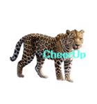 ヒョウ leopard（個別スタンプ：14）