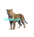 ヒョウ leopard（個別スタンプ：19）