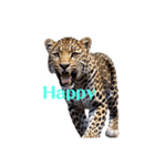 ヒョウ leopard（個別スタンプ：22）