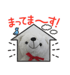 シロクマのちったんスタンプ（個別スタンプ：31）