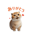 猫好きのリアル猫BIG①（個別スタンプ：7）