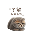 猫好きのリアル猫BIG①（個別スタンプ：10）