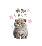 猫好きのリアル猫BIG①（個別スタンプ：13）