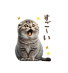 猫好きのリアル猫BIG①（個別スタンプ：19）