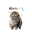 猫好きのリアル猫BIG①（個別スタンプ：20）