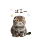 猫好きのリアル猫BIG①（個別スタンプ：25）
